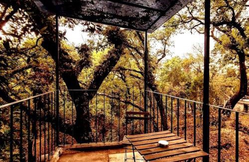 Tepoztlan House | The Red Cabin at the bottom of Tepoztlán's Forest