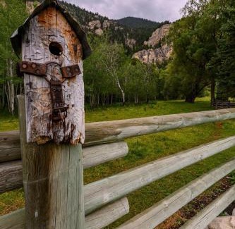 Livingston House | The Red House Homestead
