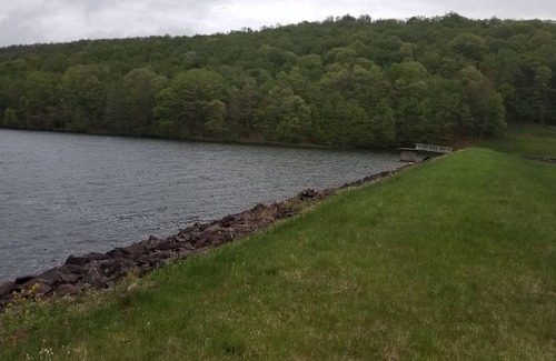 Fort Hill House | The road less travelled. Rural pet friendly home with lake view and office.