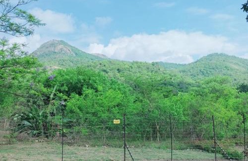 Nelspruit Apartment | The Sanctuary- Self Catering Accommodation