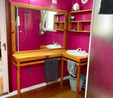 American River House | The Shanty