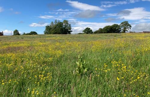 Overton-on-dee Apartment | The Shepherd's Hut with cozy logburner