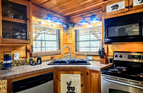 Townsend Cabin | The Skinner’s Cabin: Hot Tub, Fireplace & Grill!