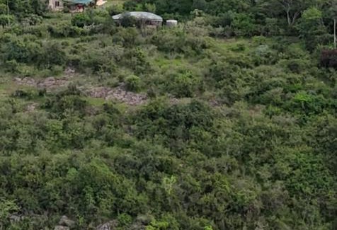 Nairobi Cabin | The Soap House - Entire Bush cottage