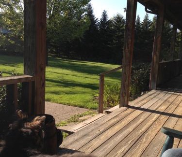 Dundee Bed & Breakfast | The South Glenora Tree Farm