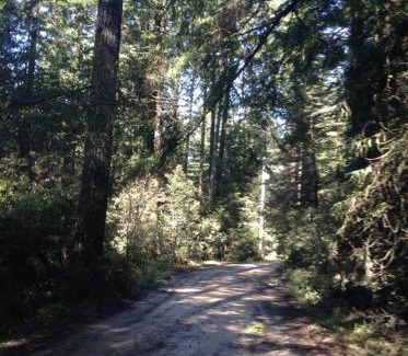 Mendocino House | The Storybook Cottage
