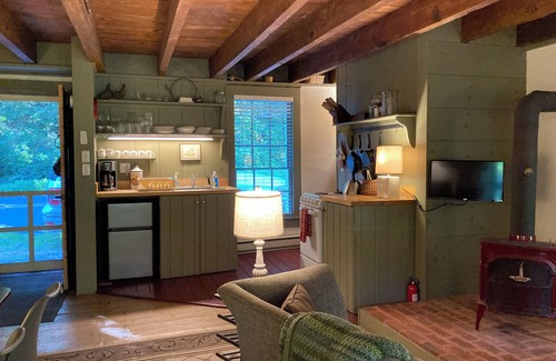 Warm Springs House | The Tannery! Private Dipping Pool In The Warm Springs Stream! Pet Friendly!