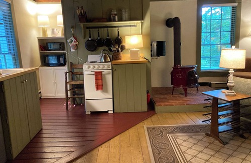 Warm Springs House | The Tannery! Private Dipping Pool In The Warm Springs Stream! Pet Friendly!