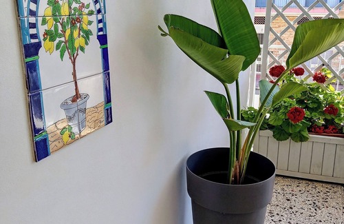 Lido Conchiglie Apartment | The veranda of the blue oars