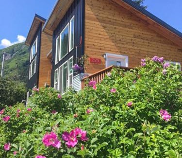 Seward Bed & Breakfast | The Vue B&B