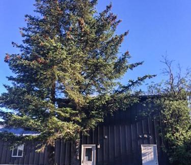 Seward Bed & Breakfast | The Vue B&B