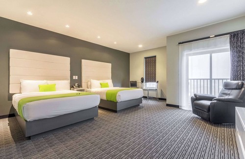 Walnut Creek Hotel | The Wallhouse Hotel, an Ascend Collection Hotel