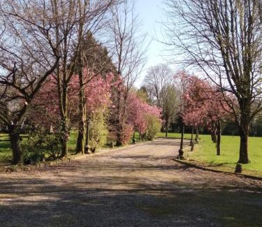 Knockaderry Cross Roads House | The Wandering Donkey Guest House