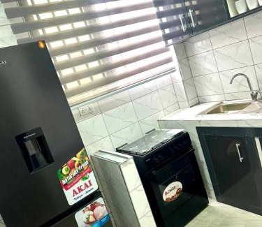 Kumasi Apartment | The Willows Apartment - Cozy Two Bedroom all en-suite Apartment