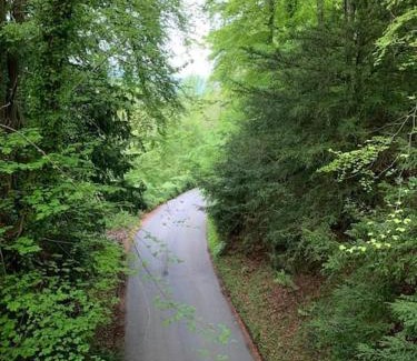 Berry Hill Apartment | TheFunkyPigsty