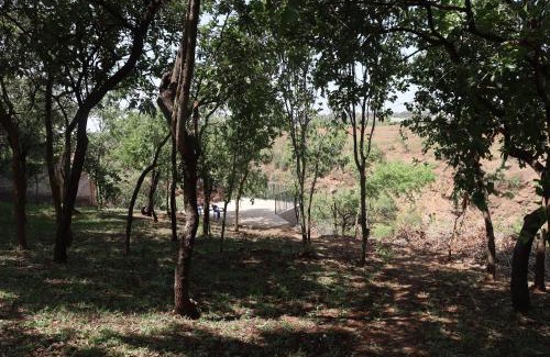 Arusha Bed & Breakfast | Themi View