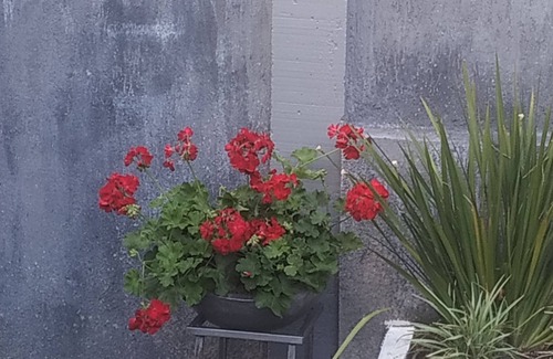 C A I C Apartment | There is no Unit 1