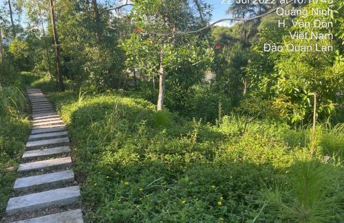 Van Don Hotel | Thiên Đường Quan Lạn - Friendly Homestay