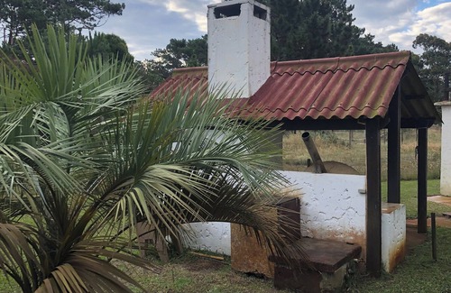 La Paloma House | This gorgeous and cozy house is only 4 blocks from the best beach in the area!