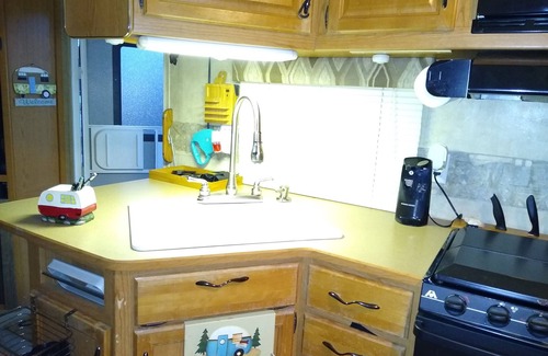 Boger City House | this is a very spacious RV that sits under 2 large trees