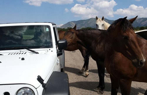 Thompson RV Rental | This is for an RV Space only/