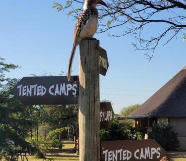 Hammanskraal Other | Thorn Tree Bush Camp