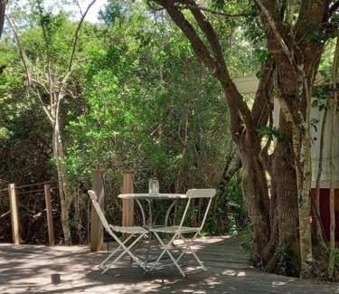 Buffalo Hills Game Reserve Apartment | Thornybush, Bridge Cottage