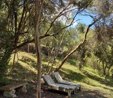 Buffalo Hills Game Reserve Apartment | Thornybush, Bridge Cottage