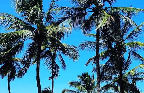 Diani Beach House | Three Bedroom cottage