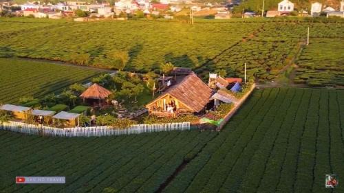 Moc Chau Cabin | Tiệm Cà Phê Mer Homestay & Coffee Mộc Châu