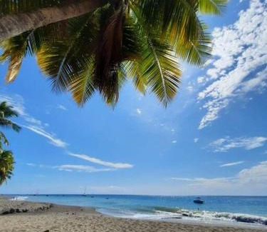 Le Carbet House | Ti Sucrier Jaune - Douceur caraïbe vue mer