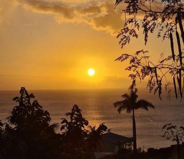 Le Carbet House | Ti Sucrier Jaune - Douceur caraïbe vue mer