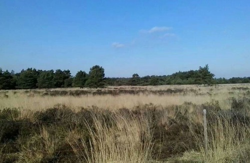 Vledder House | Tidy bungalow with garden located in natural area