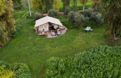 Montecorto Other | Tienda de Safari Almagro