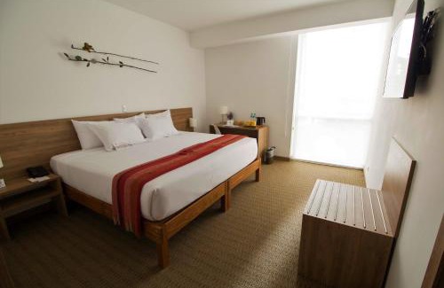 Santa Cruz Hotel | Tierra Viva Miraflores Mendiburu