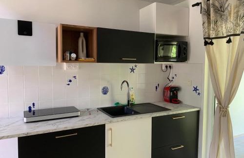 Nunue Apartment | Tiki Ora Lodge - MOTU