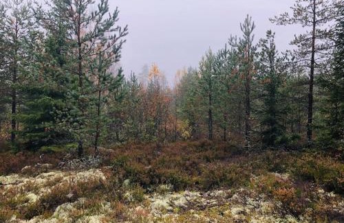 Kimito Island Villa | Tilava ja rauhallinen huvila mukavuuksilla
