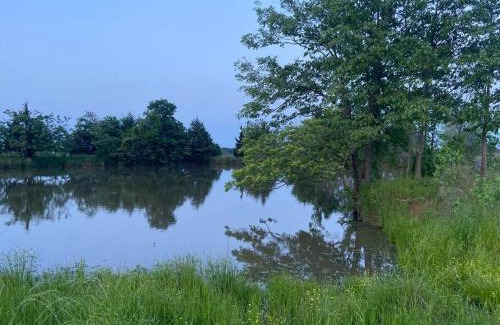 Albany House | Tiny farm home on 225 acres, 28 miles from Durant, Pet friendly