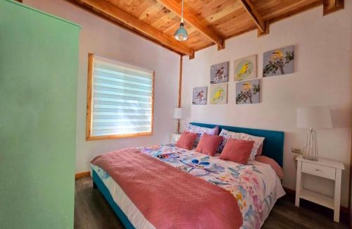 Conaripe House | Tiny house