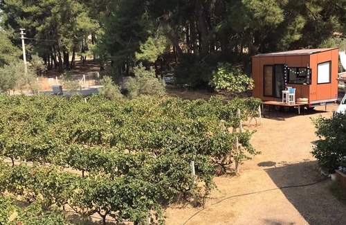 Menderes Cabin | Tiny House