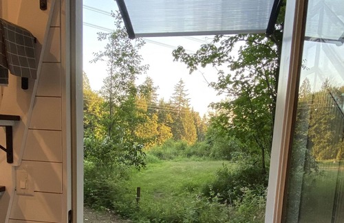 Mirrormont Apartment | Tiny House Tranquil Forest Retreat