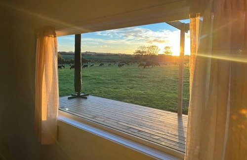 Wanganui District Cabin | Tiny living, Big escape!