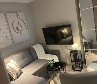 Pyskowice Apartment | Tiny Studio Pyskowice with parking