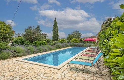 Veleniki Apartment | Tireli (HWKZJ3S)