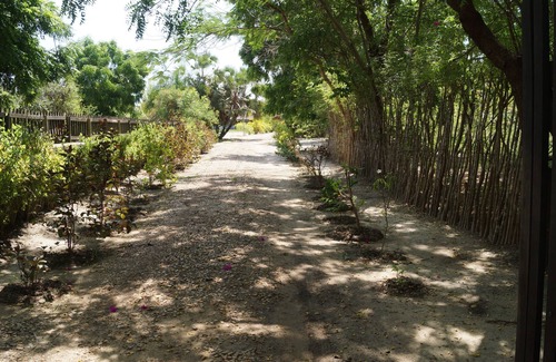 Menabe Bed & Breakfast | To rent superb T1, in a quiet environment, close to the sea
