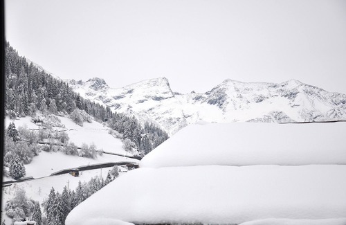 See Apartment | Top 8 Stilvolles, Lichtdurchflutetes Alpen-appartment