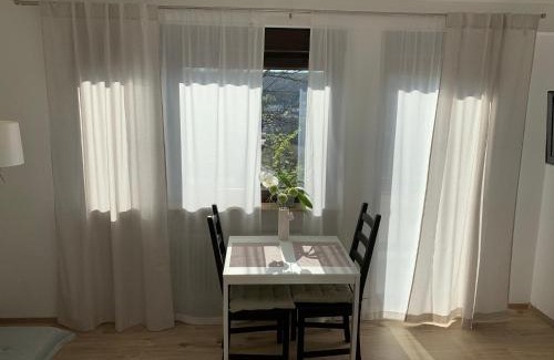 Bad Soden-Salmuenster Apartment | Top Modernes 1-Zimmer-Apartment mit Küche, Parkplatz, kostenfreiem WLAN und Netflix