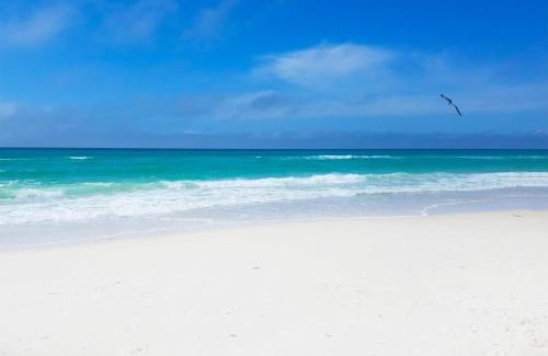 Panama City Beach House | Top of the Gulf 713