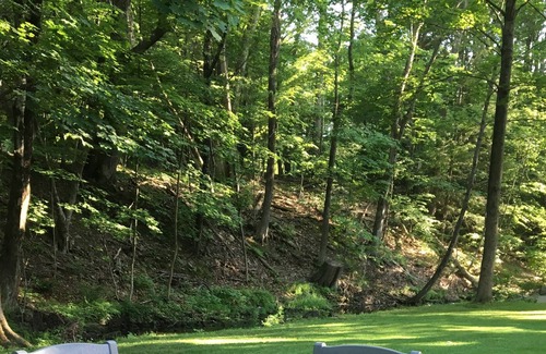 Woodstock Cottage | TOP RATED! Romantic rustic luxury+flowing stream+walk to town=Brook Cottage