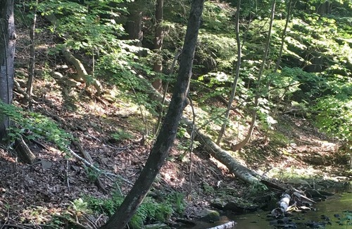 Woodstock Cottage | TOP RATED! Romantic rustic luxury+flowing stream+walk to town=Brook Cottage